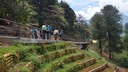 JARDIN CIRCUNVALAR.jpg
