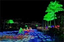 MÁGICA NAVIDAD