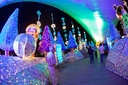IMG_5940.jpg