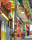 BELLO JARDÍN