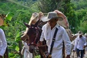 El Arriero