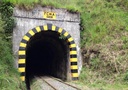 El Ferrocarril