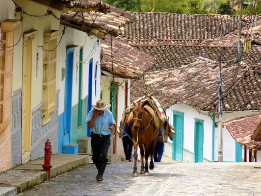 CULTURA ARRIERA