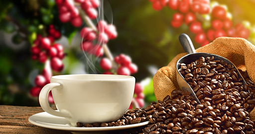 AROMA A CAFE